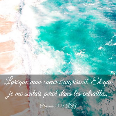 Picture 03 - Psaumes 73:21 LSG - Lorsque mon coeur s'aigrissait, Et que je me - Bible Verse Picture