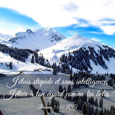 Picture 03 - Psaumes 73:22 LSG - J'étais stupide et sans intelligence, J'étais - Bible Verse Picture