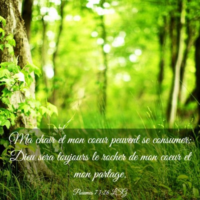 Picture 03 - Psaumes 73:26 LSG - Ma chair et mon coeur peuvent se consumer: Dieu - Bible Verse Picture