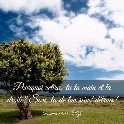 Picture 03 - Psaumes 74:11 LSG - Pourquoi retires-tu ta main et ta droite? Sors-la - Bible Verse Picture