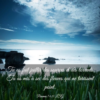 Picture 03 - Psaumes 74:15 LSG - Tu as fait jaillir des sources et des torrents. - Bible Verse Picture