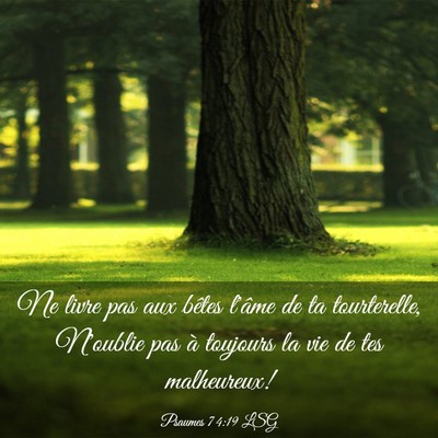 Picture 03 - Psaumes 74:19 LSG - Ne livre pas aux bêtes l'âme de ta tourterelle, - Bible Verse Picture