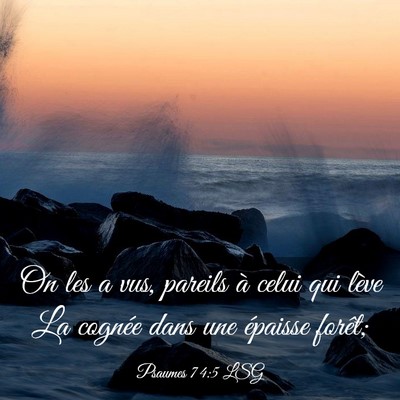Picture 03 - Psaumes 74:5 LSG - On les a vus, pareils à celui qui lève La - Bible Verse Picture