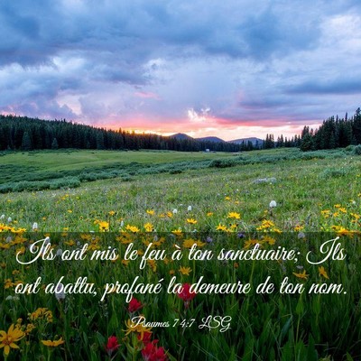 Picture 03 - Psaumes 74:7 LSG - Ils ont mis le feu à ton sanctuaire; Ils ont - Bible Verse Picture