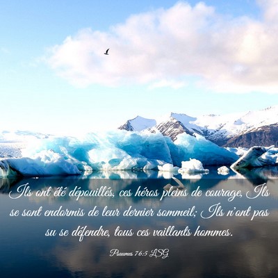 Picture 03 - Psaumes 76:5 LSG - Ils ont été dépouillés, ces héros pleins de - Bible Verse Picture