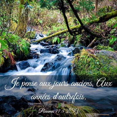 Picture 03 - Psaumes 77:5 LSG - Je pense aux jours anciens, Aux années - Bible Verse Picture