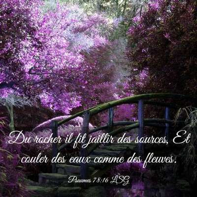 Picture 03 - Psaumes 78:16 LSG - Du rocher il fit jaillir des sources, Et couler - Bible Verse Picture