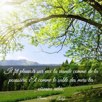 Picture 03 - Psaumes 78:27 LSG - Il fit pleuvoir sur eux la viande comme de la - Bible Verse Picture