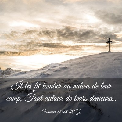 Picture 03 - Psaumes 78:28 LSG - Il les fit tomber au milieu de leur camp, Tout - Bible Verse Picture