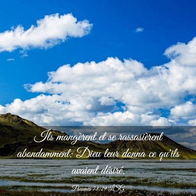 Picture 03 - Psaumes 78:29 LSG - Ils mangèrent et se rassasièrent abondamment: - Bible Verse Picture