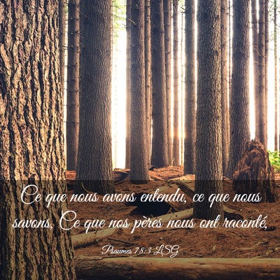 Picture 03 - Psaumes 78:3 LSG - Ce que nous avons entendu, ce que nous savons, Ce - Bible Verse Picture