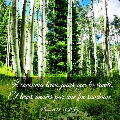 Picture 03 - Psaumes 78:33 LSG - Il consuma leurs jours par la vanité, Et leurs - Bible Verse Picture