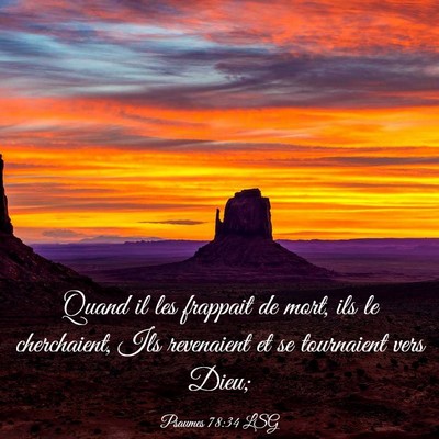 Picture 03 - Psaumes 78:34 LSG - Quand il les frappait de mort, ils le - Bible Verse Picture