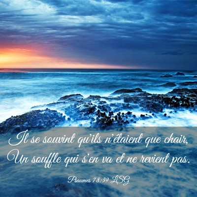 Picture 03 - Psaumes 78:39 LSG - Il se souvint qu'ils n'étaient que chair, Un - Bible Verse Picture