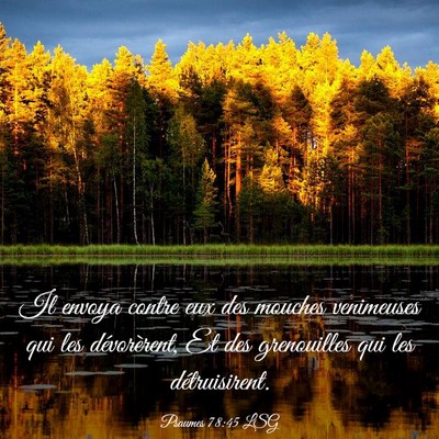 Picture 03 - Psaumes 78:45 LSG - Il envoya contre eux des mouches venimeuses qui - Bible Verse Picture