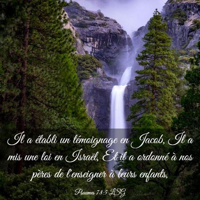 Picture 03 - Psaumes 78:5 LSG - Il a établi un témoignage en Jacob, Il a mis - Bible Verse Picture