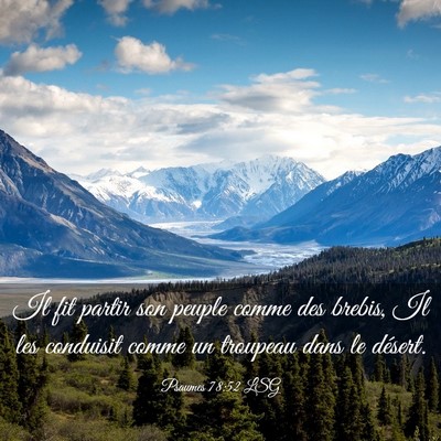 Picture 03 - Psaumes 78:52 LSG - Il fit partir son peuple comme des brebis, Il les - Bible Verse Picture