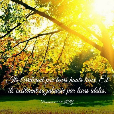 Picture 03 - Psaumes 78:58 LSG - Ils l'irritèrent par leurs hauts lieux, Et ils - Bible Verse Picture