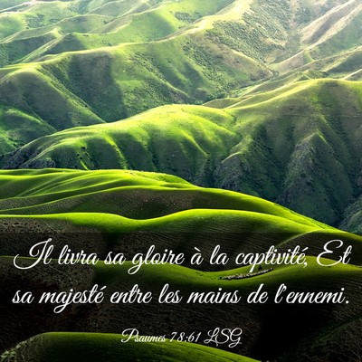 Picture 03 - Psaumes 78:61 LSG - Il livra sa gloire à la captivité, Et sa - Bible Verse Picture