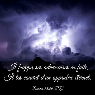 Picture 03 - Psaumes 78:66 LSG - Il frappa ses adversaires en fuite, Il les - Bible Verse Picture