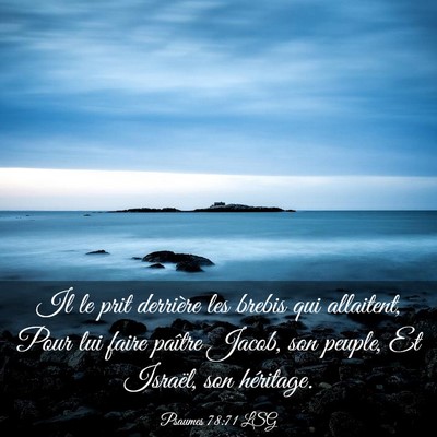 Picture 03 - Psaumes 78:71 LSG - Il le prit derrière les brebis qui allaitent, - Bible Verse Picture
