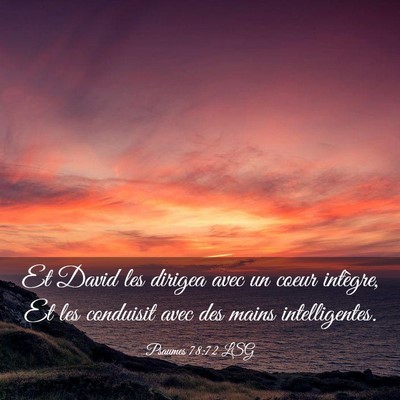Picture 03 - Psaumes 78:72 LSG - Et David les dirigea avec un coeur intègre, Et - Bible Verse Picture