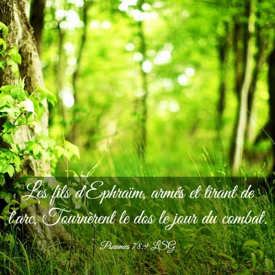 Picture 03 - Psaumes 78:9 LSG - Les fils d'Ephraïm, armés et tirant de l'arc, - Bible Verse Picture