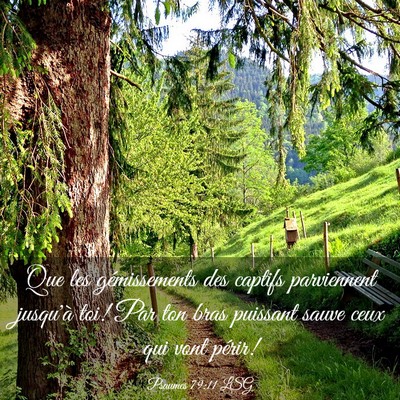 Picture 03 - Psaumes 79:11 LSG - Que les gémissements des captifs parviennent - Bible Verse Picture
