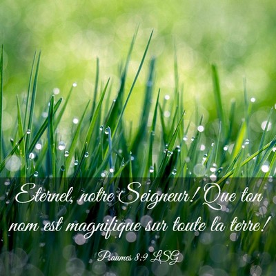 Picture 03 - Psaumes 8:9 LSG - Eternel, notre Seigneur! Que ton nom est - Bible Verse Picture