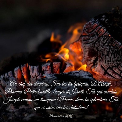Picture 03 - Psaumes 80:1 LSG - Au chef des chantres. Sur les lis lyriques. - Bible Verse Picture