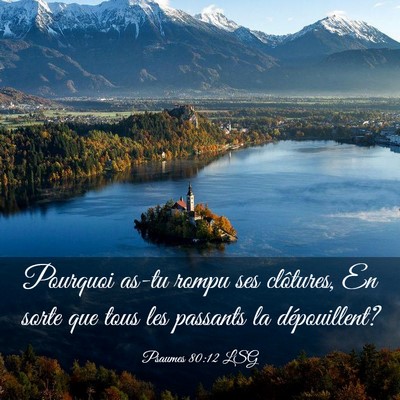Picture 03 - Psaumes 80:12 LSG - Pourquoi as-tu rompu ses clôtures, En sorte que - Bible Verse Picture