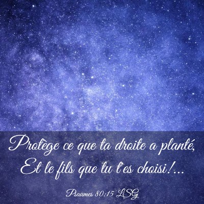 Picture 03 - Psaumes 80:15 LSG - Protège ce que ta droite a planté, Et le fils - Bible Verse Picture