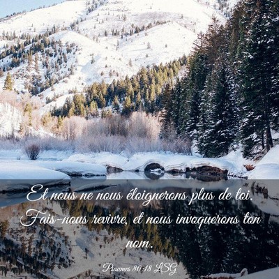 Picture 03 - Psaumes 80:18 LSG - Et nous ne nous éloignerons plus de toi. - Bible Verse Picture