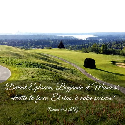 Picture 03 - Psaumes 80:2 LSG - Devant Ephraïm, Benjamin et Manassé, réveille - Bible Verse Picture