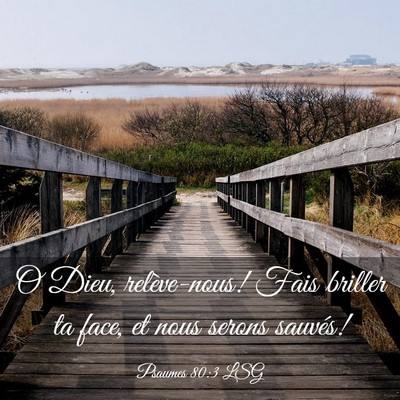 Picture 03 - Psaumes 80:3 LSG - O Dieu, relève-nous! Fais briller ta face, et - Bible Verse Picture