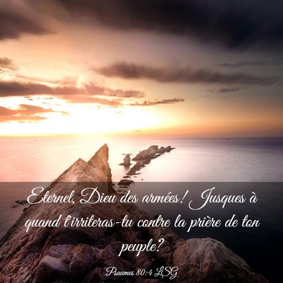 Picture 03 - Psaumes 80:4 LSG - Eternel, Dieu des armées! Jusques à quand - Bible Verse Picture