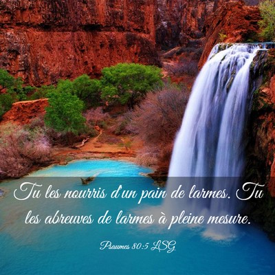 Picture 03 - Psaumes 80:5 LSG - Tu les nourris d'un pain de larmes. Tu les - Bible Verse Picture
