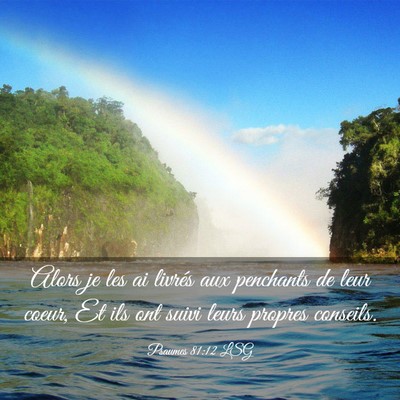 Picture 03 - Psaumes 81:12 LSG - Alors je les ai livrés aux penchants de leur - Bible Verse Picture