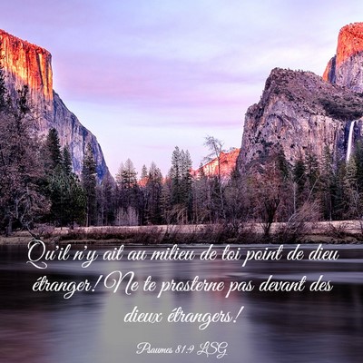 Picture 03 - Psaumes 81:9 LSG - Qu'il n'y ait au milieu de toi point de dieu - Bible Verse Picture