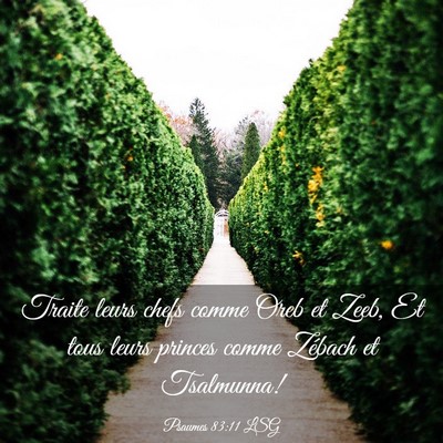 Picture 03 - Psaumes 83:11 LSG - Traite leurs chefs comme Oreb et Zeeb, Et tous - Bible Verse Picture