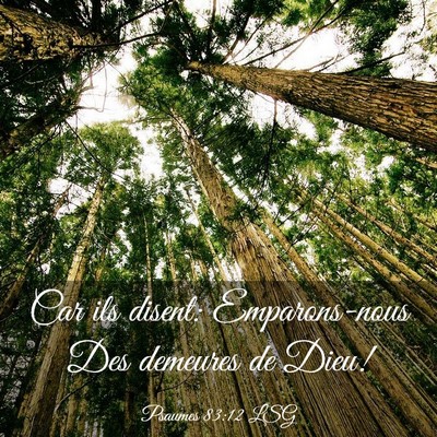 Picture 03 - Psaumes 83:12 LSG - Car ils disent: Emparons-nous Des demeures de - Bible Verse Picture