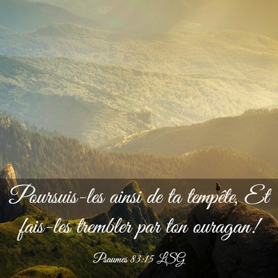 Picture 03 - Psaumes 83:15 LSG - Poursuis-les ainsi de ta tempête, Et fais-les - Bible Verse Picture