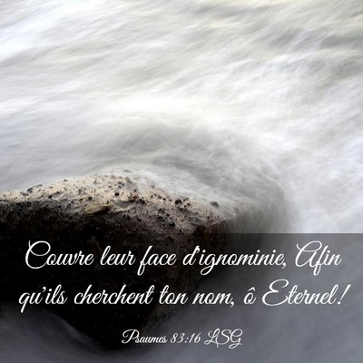 Picture 03 - Psaumes 83:16 LSG - Couvre leur face d'ignominie, Afin qu'ils - Bible Verse Picture