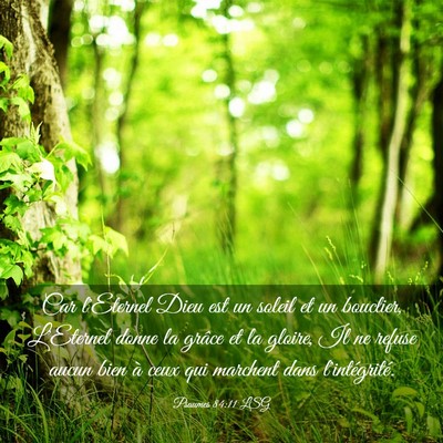 Picture 03 - Psaumes 84:11 LSG - Car l'Eternel Dieu est un soleil et un bouclier, - Bible Verse Picture
