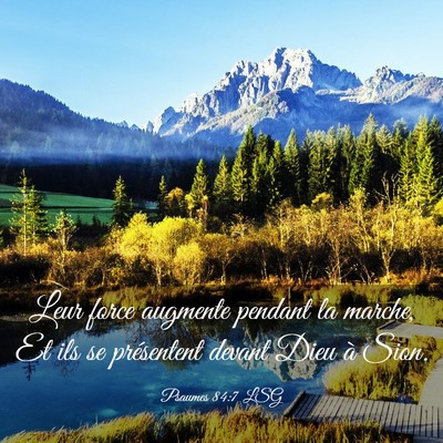 Picture 03 - Psaumes 84:7 LSG - Leur force augmente pendant la marche, Et ils se - Bible Verse Picture