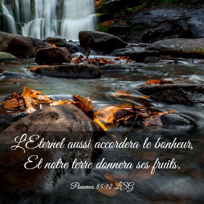 Picture 03 - Psaumes 85:12 LSG - L'Eternel aussi accordera le bonheur, Et notre - Bible Verse Picture