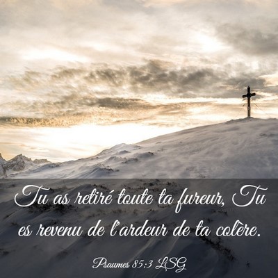 Picture 03 - Psaumes 85:3 LSG - Tu as retiré toute ta fureur, Tu es revenu de - Bible Verse Picture