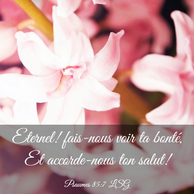 Picture 03 - Psaumes 85:7 LSG - Eternel! fais-nous voir ta bonté, Et - Bible Verse Picture