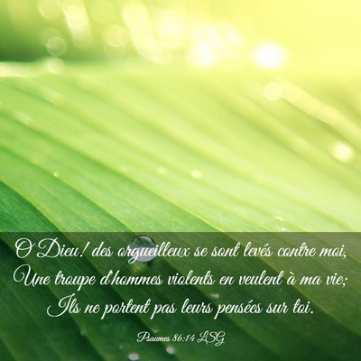 Picture 03 - Psaumes 86:14 LSG - O Dieu! des orgueilleux se sont levés contre - Bible Verse Picture