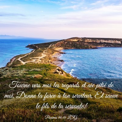Picture 03 - Psaumes 86:16 LSG - Tourne vers moi les regards et aie pitié de moi, - Bible Verse Picture